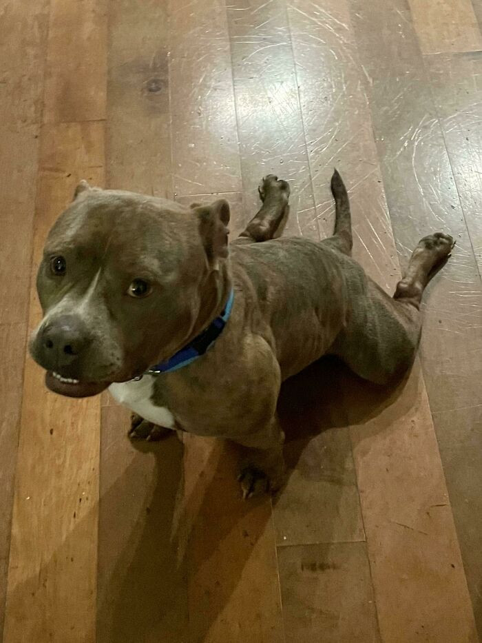 50. He sits like a... fish?