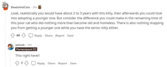 First, love the older one until it passes away, then get a younger one to replace it.