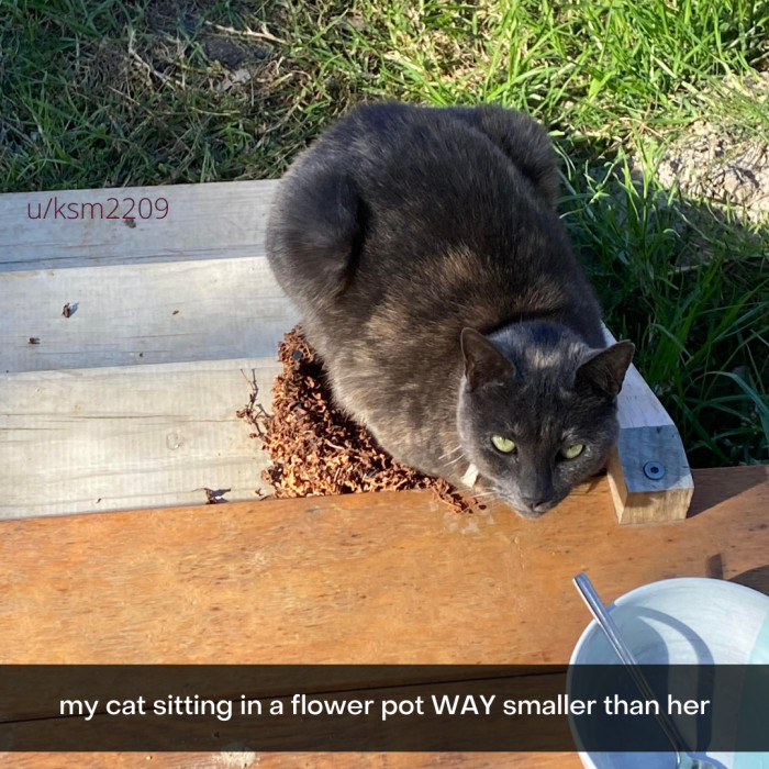 15. She does what she wants.