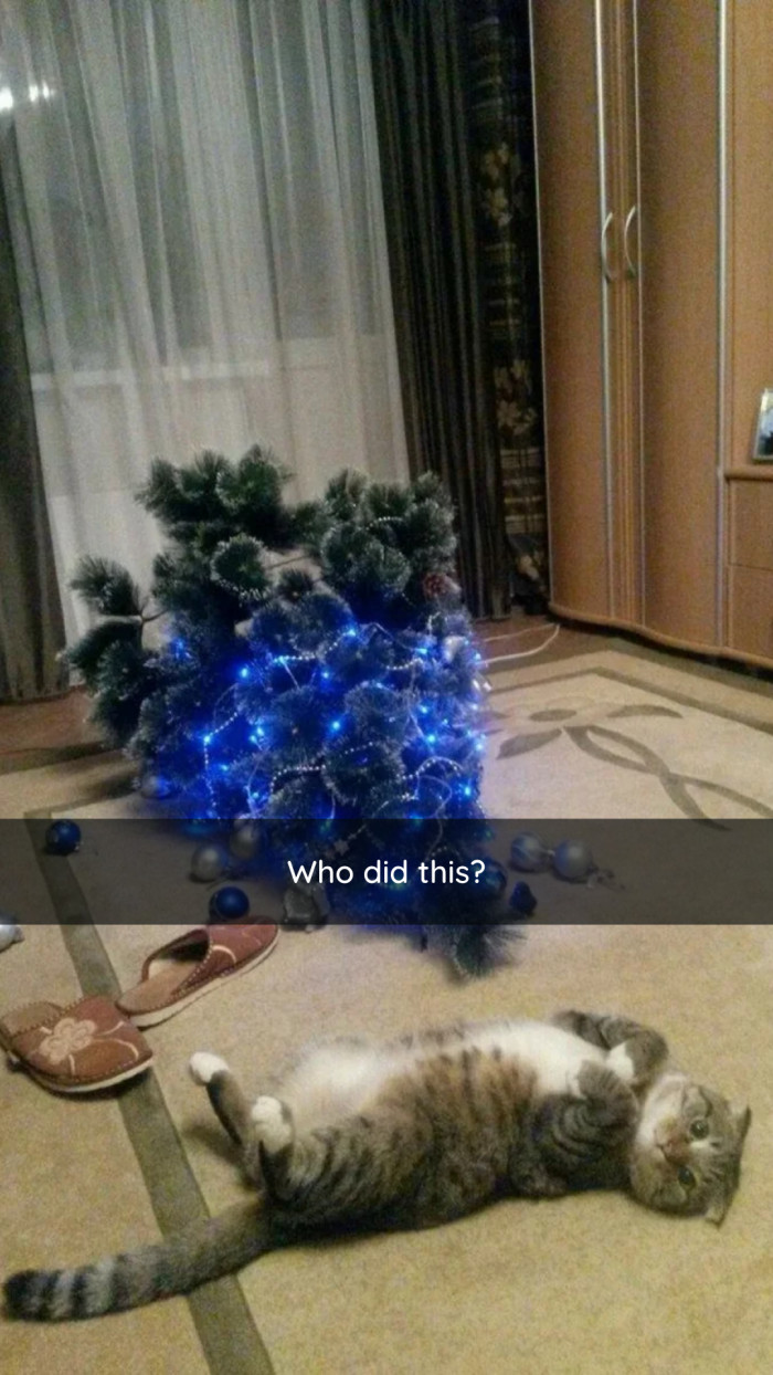 9. Truly, a mystery.
