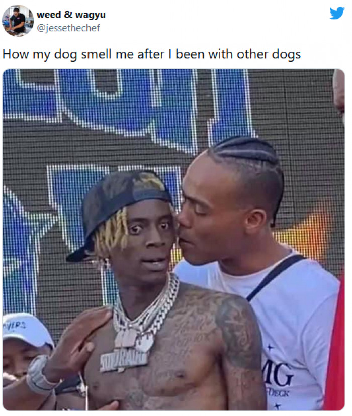 1. When your dog smells other dogs on you and acts like you have been cheating