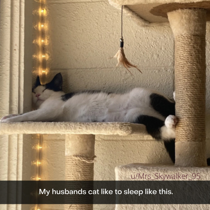 12. This would give most humans neck pain for months.