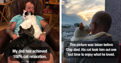 Adorable Cat Dad Photos Showing How Special The Bond Between Daddy And Cat Is
