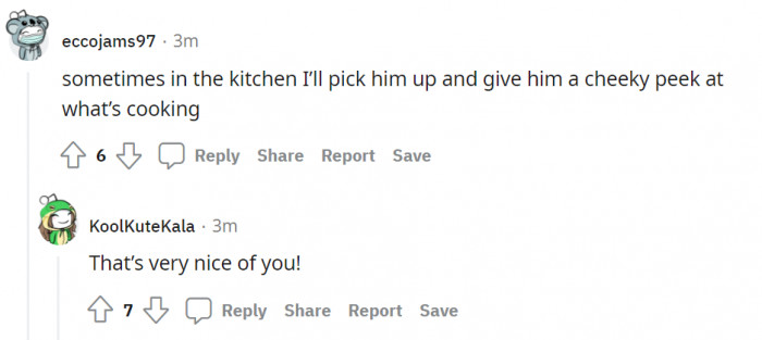 The little guy wants to know what's for dinner