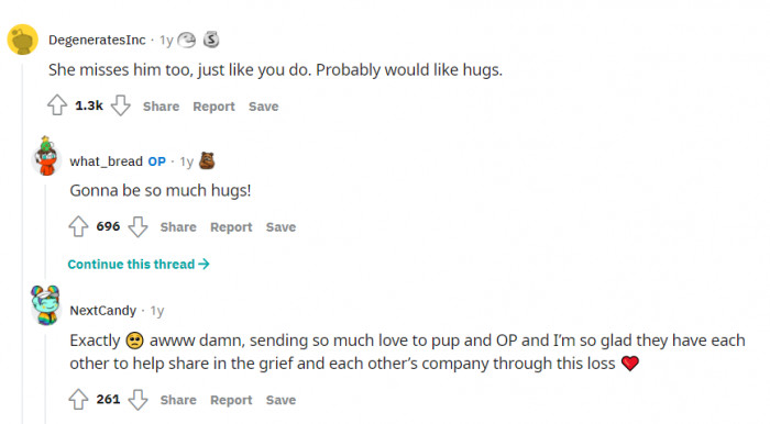 Lots of hugs for the dog and OP.