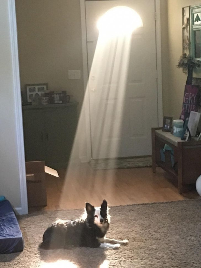 15. The ancient murals spoke of his birth a long time ago.