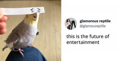 16 Wholesome Animal Tweets That Prove We Don't Deserve To Be Graced By Their Presence