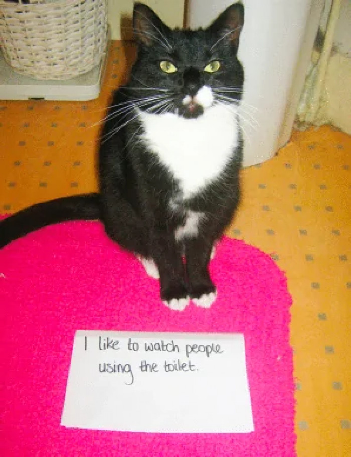 6. I like to watch people using the toilet.