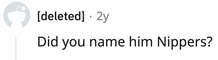 ... Nippers was named in honor of the herb