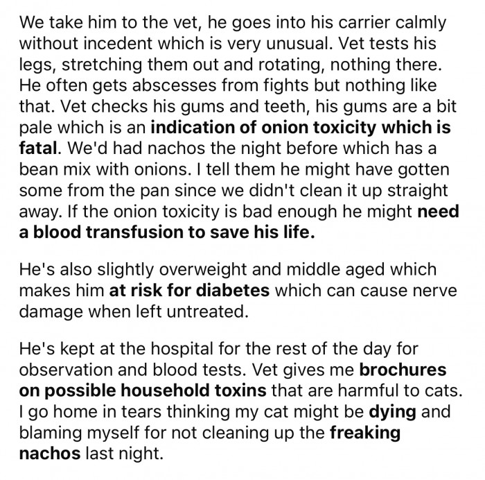 Things then got pretty serious for a moment, and OP started to freak out.