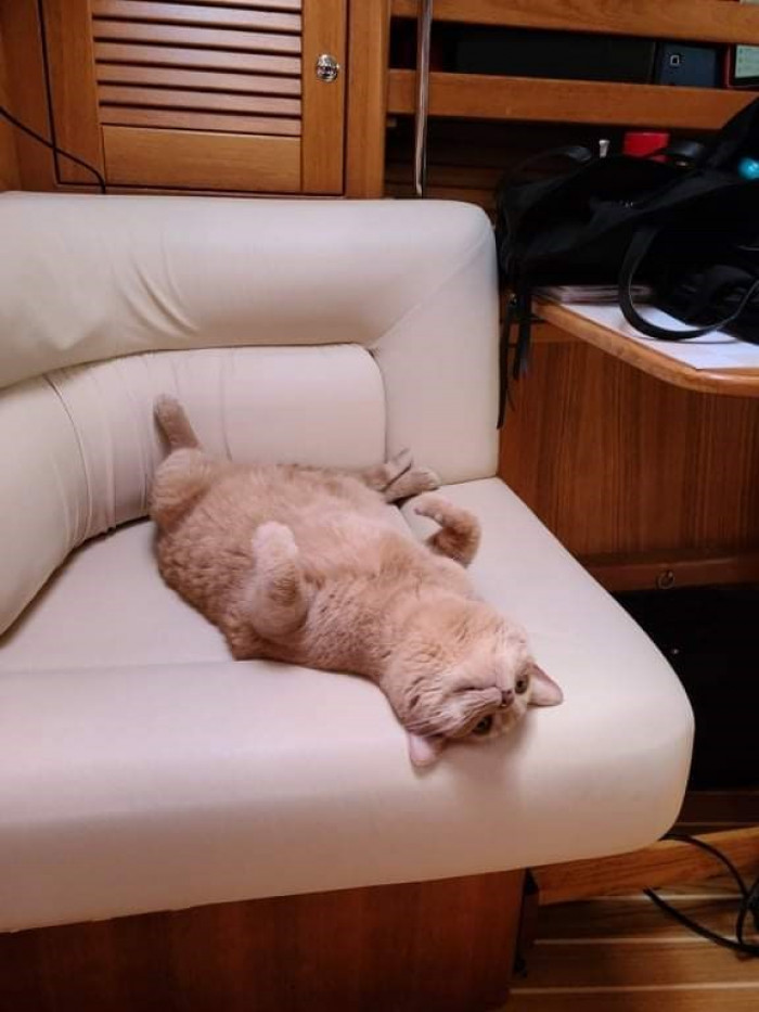 15. This is Charly, and he's settling in very well