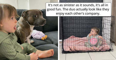 Baby Employs The Family Dog As A Personal Vegetable Taster Before Eating Them