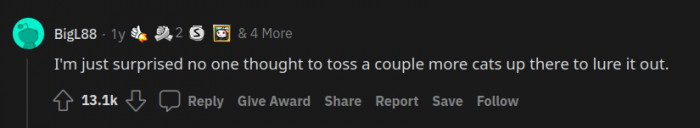 Not a single genius among them.