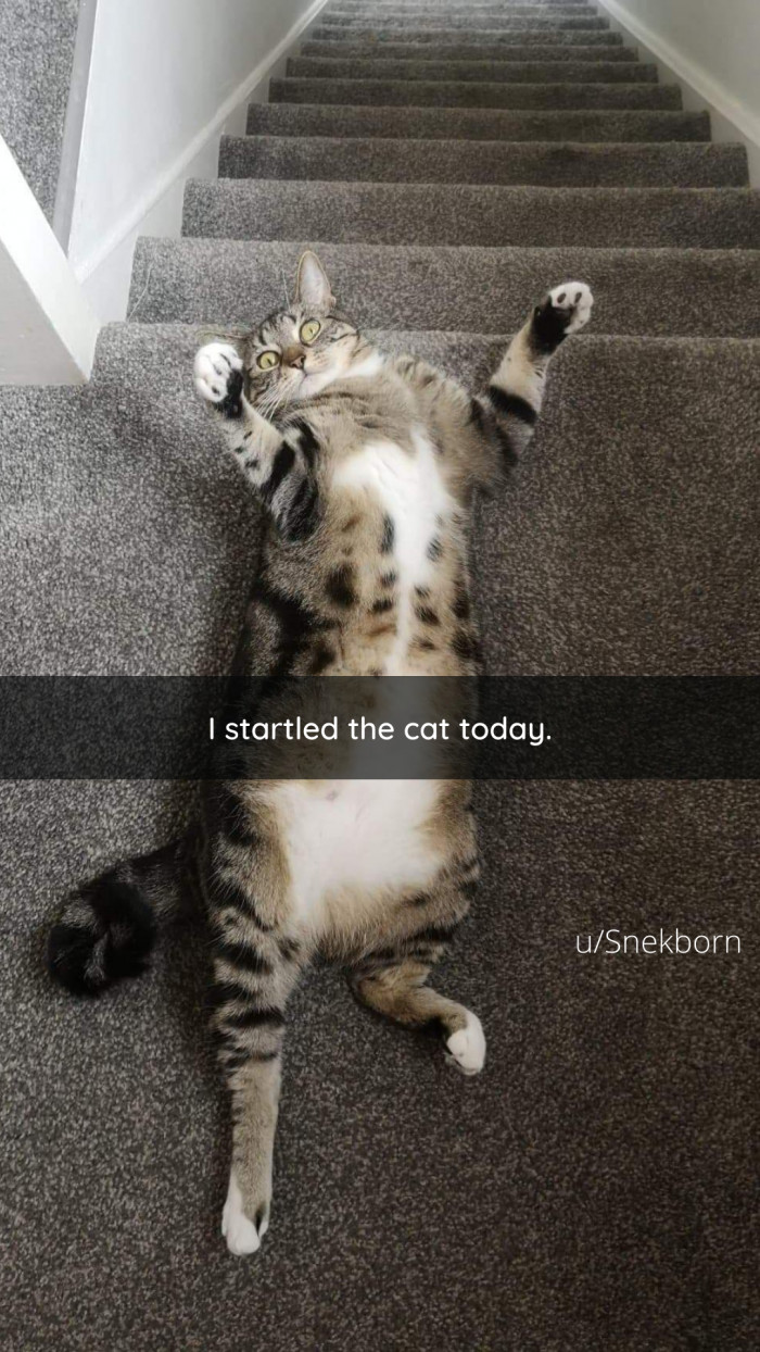 19. Startled today, seeking vengeance tomorrow.