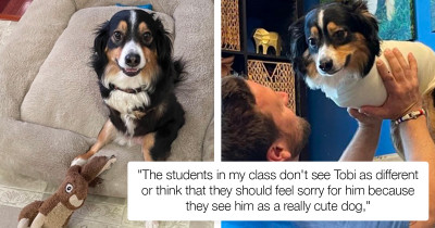 Australian Shepherd Dog Born Without Front Legs Teaches Acceptance to Virginia Students