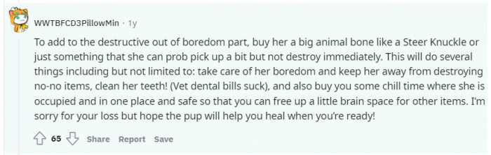 Everyone is so nice to give him all of this advice.