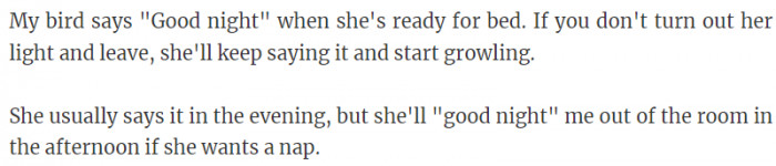 Bird says "good night" whenever she's ready for bed.