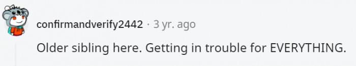 18. When you're the older sibling, you're automatically responsible for everything