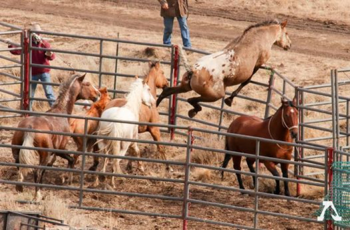 This was the photo that started it all.