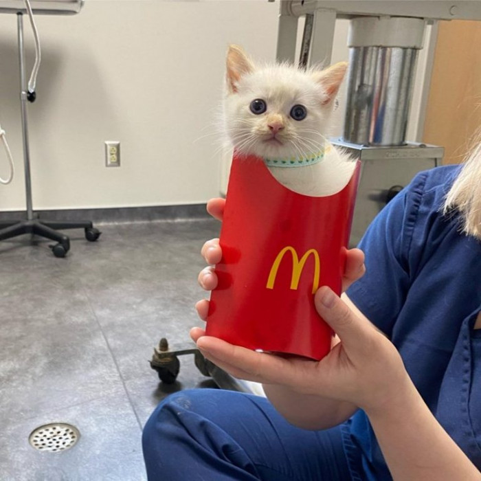 2. Ordered fries from McDonald's and this is what I got