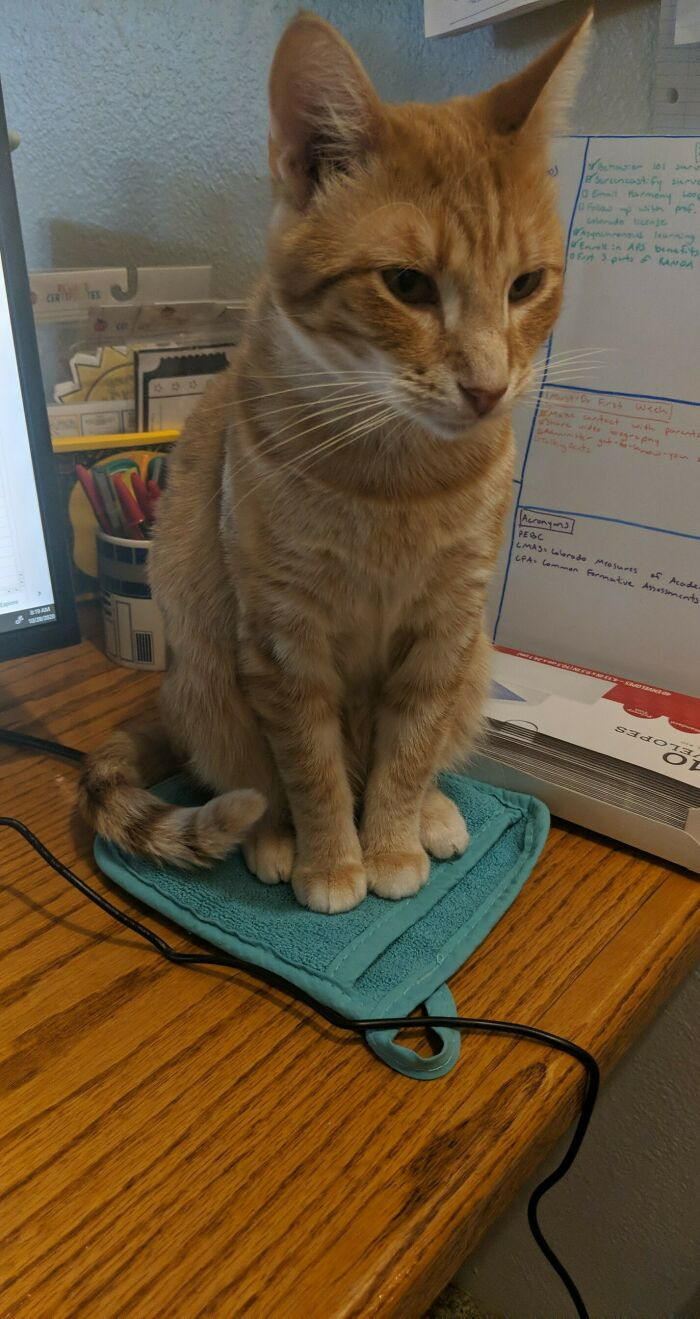 34. A strategically placed potholder