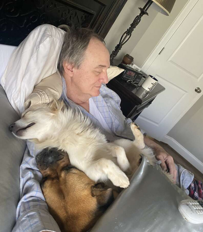 Hall's father never naps alone, as different dogs from around the area join him too