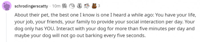 1. Your dog has only you. 