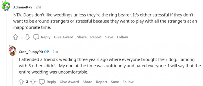 #20 Dogs don't like weddings.