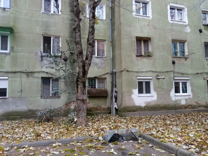 4. Many of the cats suffer from dietary issues