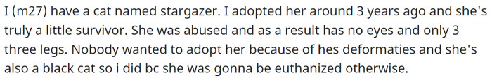 He adopted an abused cat three years ago. She was in pretty bad shape—she had no eyes and only three legs.