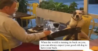 Guy Goes On A Date With His Dog And It's One Of The Sweetest Things You Could Ever See