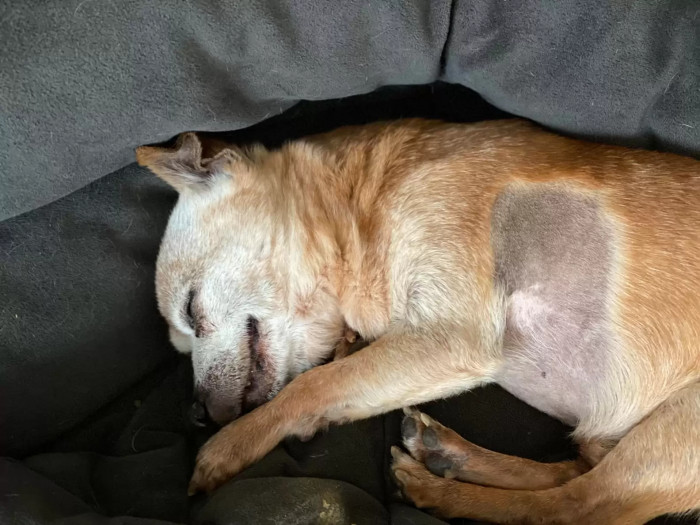 At the age of 23, Bully definitely deserves all the parties that he can get.