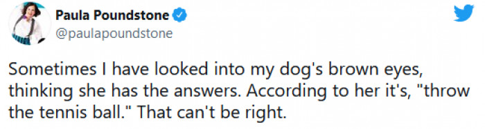 17. We think dogs have all the answers, but really... they're just thinking about dinner