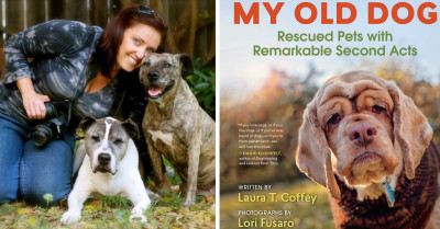 22 Charming Photos Of Senior Shelter Dogs That Teach You A Lesson About Second Chances