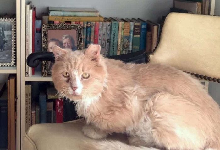 Fortunately for this particular fella, he was lucky enough to be given a second chance at care.