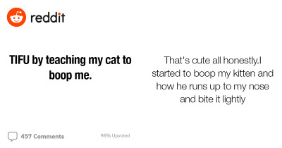Reddit User Regrets Teaching Their Cat To Boop Them And Learns That Sometimes Cute Is Annoying