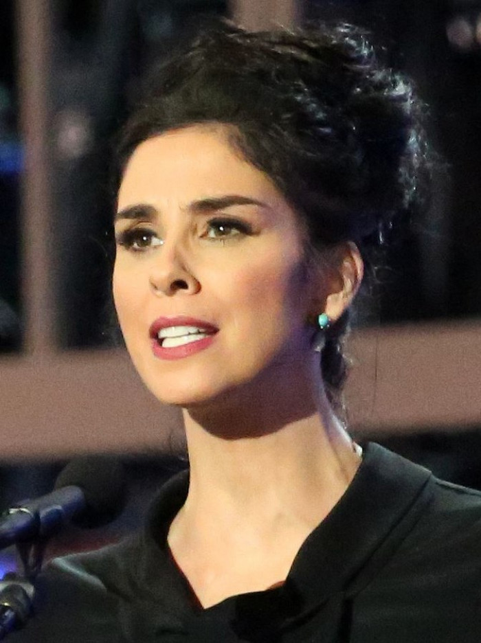 13. Sarah Silverman