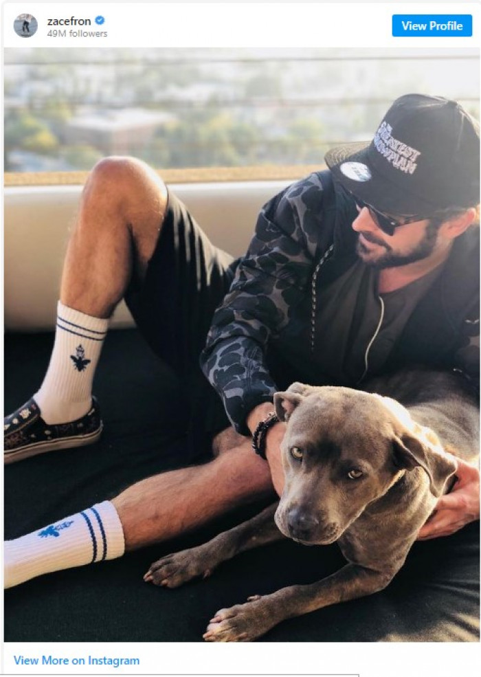 19. Zac Efron and his adopted pup, Maca.