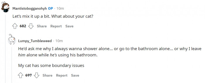 18. A little detour for cats.