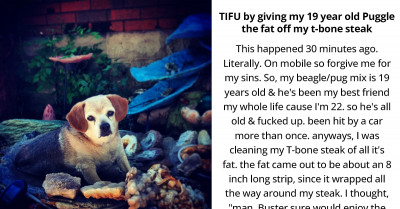 Dog Owner Regrets Giving Her Old Puggle An 8-Inch Strip Of Meat