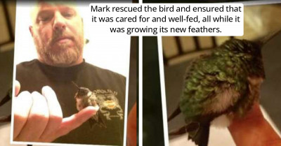 Man Forms A Rare And Wholesome Connection With A Hummingbird