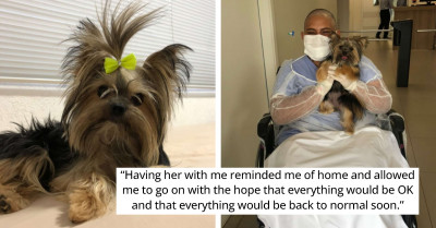 This Tiny Dog Has Such A Big Heart- She Is Overjoyed Because She Got To Visit Her Best Friend In The Hospital
