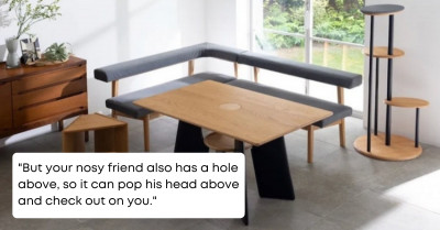 This Cat-Friendly Dining Table Enables Our Furry Friends To Have A Central Place At Meal Time