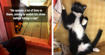 Guy Turns Empty Space He Found Behind Wall Into A Miniature Room For His Cat, And It's Honestly Impressive