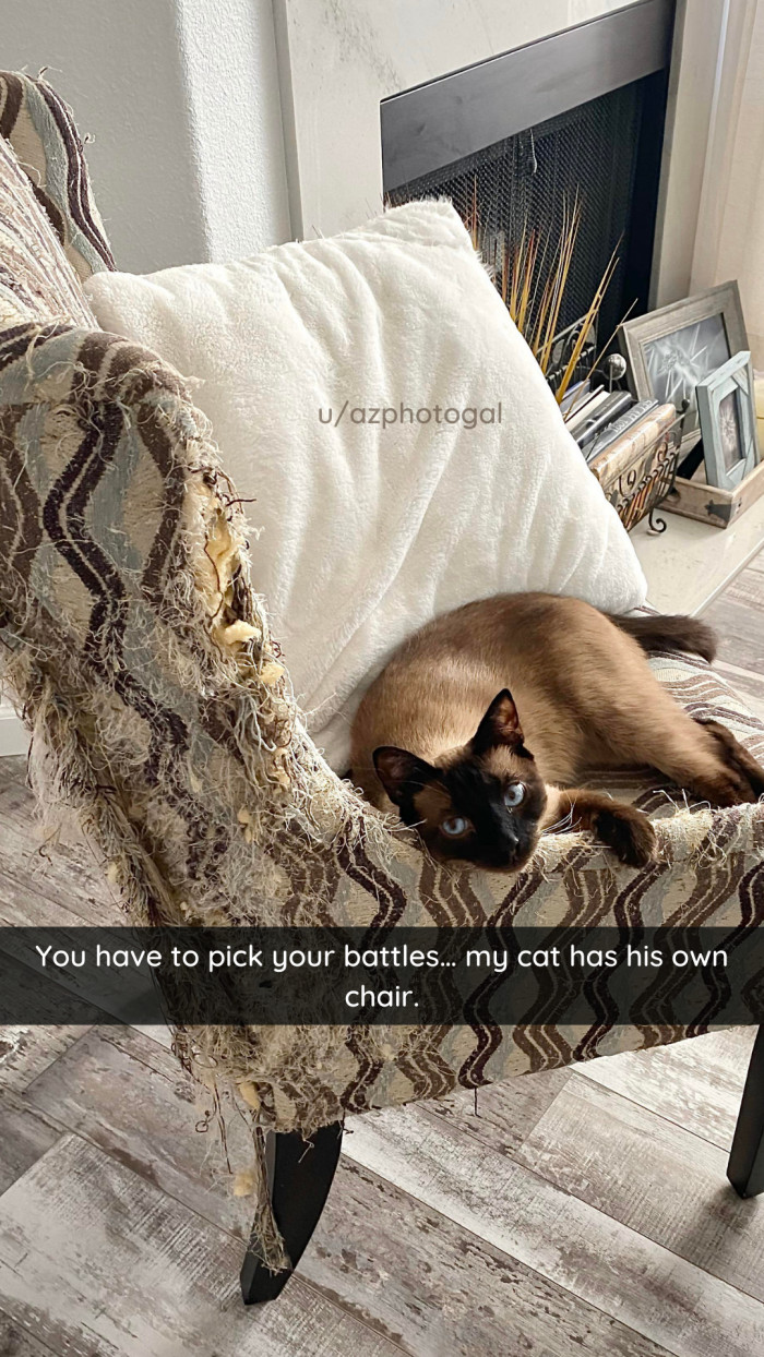 4. Kitty gets what kitty wants.