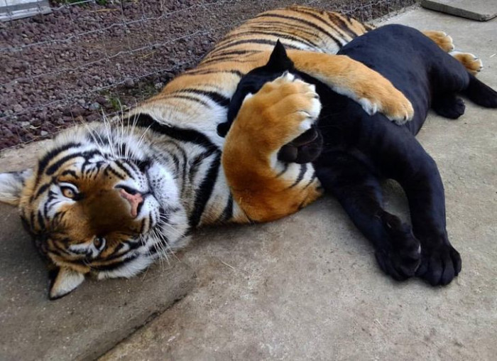 22. Yup! We know how to play too