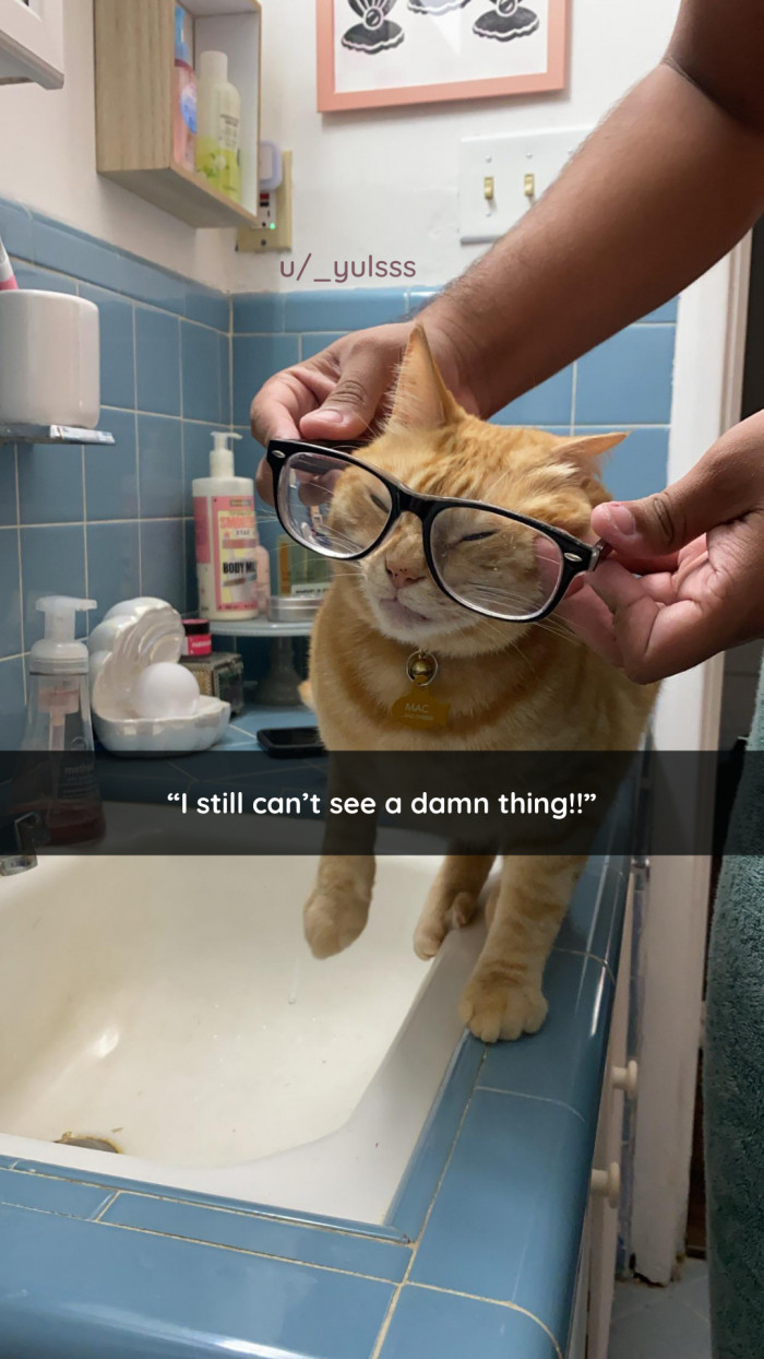 12. This is a spectacle.