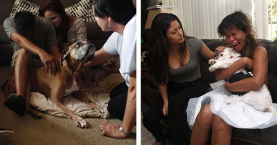 14 Heartwrenching Pictures of Final Goodbyes of Pets with Their Owners