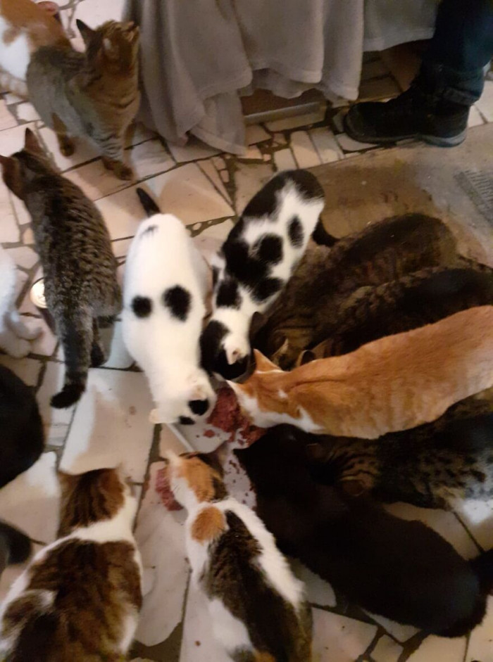 11. The sight of them together is a joy for everyone