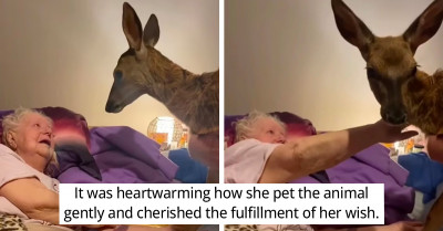 Woman Fulfilled Her Mother’s Last Wish and Surprised Her with a Real-Life Bambi